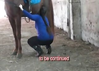 عاهرة حديقة الحيوانات تأتي إلى الحظيرة لإعطاء وظيفة فموية لفحل كبير