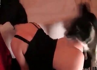 فتاة خجولة ترتدي قناعًا من أجل فيديو إباحي لحديقة حيوانات منزلية مع كلبها