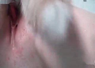 كلب أبيض رقيق يمارس الجنس مع مهبل وردي محلوق لفتاة عاهرة أمام الكاميرا