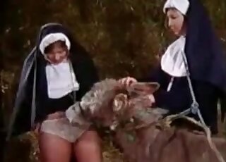 Two crazy nuns go dirty with a donkey when nobody sees