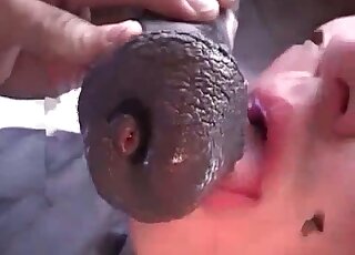 عاهرة قذرة تمتص قضيبا أسود ضخما من حصان أمام الكاميرا