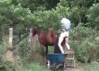 Perverted male bangs a horse really rough in a beastiality porn scene