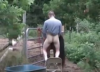 رجل منحرف يمارس الجنس مع حصان بعنف شديد في مشهد إباحي وحشي