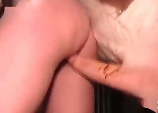 يصطدم المهر بثقب قذر لفتاة ناضجة عاهرة ويحفره بقوة