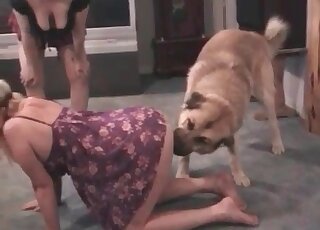Massive dog finds soaking pussy of a blonde mature perfect for fucking