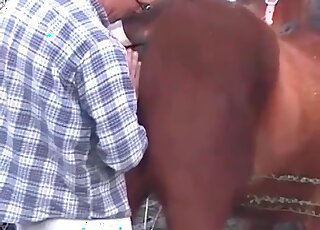 Horse never expected the stableman would fuck it like insane