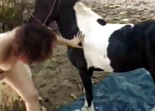 Hot babe wants to fuck with that horse and seduces it right away