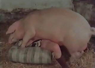 خنزير ضخم يمارس الجنس مع عاهرة نحيفة في وضعية الكلب ويتخذ وضعية التبشير