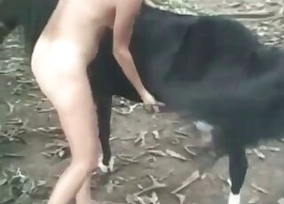 Steaming hot mature slut blows and rides a huge schlong of a stallion
