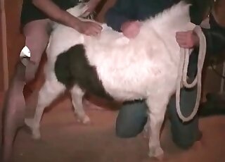 Strong dude spoils a submissive animal fucking it from behind