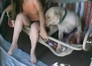 ممارسة الجنس مع كلبها الكبير تجعل MILF الشهوانية متحمسة طوال اليوم