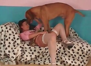 امرأة ناضجة مثيرة تفتح فخذيها على نطاق واسع لتسمح لقضيب كلبها بالدخول