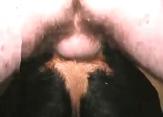 يجد الرجل حفرة كلبته الأنثى مثالية للاختراق العميق