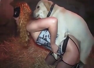 عاهرة شقراء ترتدي قناعًا تدعو كلبها لممارسة الجنس معها في مهبلها الترحيبي