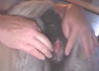 Fat pervert likes moving his cock inside a deep hole of a horse