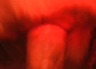 لقطات مقربة من حيوان شرير يمارس الجنس مع حيوان في حفرة عميقة