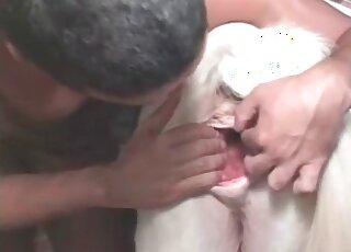 Zoo pervert licks and fists a horse’s pussy in a hot animal porno