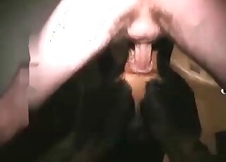 Dirty-minded zoophile hammers his dog’s hole really mercilessly