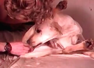 Wild pervert with big balls crushes up pussy of his female pet dog