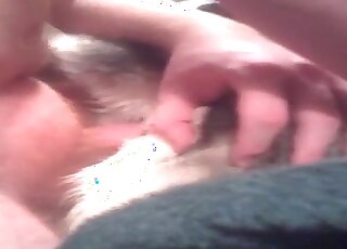 رجل مجنون يمارس الجنس مع كلب دون حدود ويدفعه عميقًا في جحره