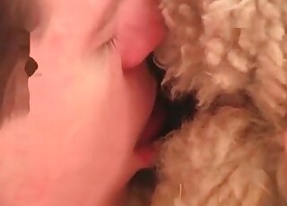 رجل سيء يستكشف مهبل الخروف بأصابعه ولسانه