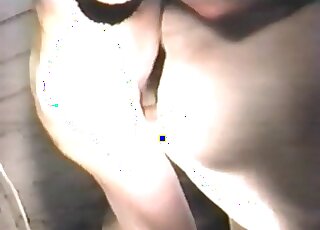 Horny dude enjoys deep fucking of a big juicy hole of an animal