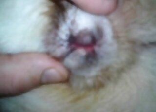 محب الكلاب النهم يداعب كلبه الأليف في مشهد إباحي ساخن في حديقة الحيوانات