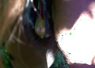 إن الضرب العميق للحصان يجعل الرجل القذر يشعر بالنشوة الجنسية