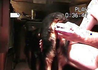 منحرف مجنون يضايق كلبه عن طريق اللمس واللعب العميق