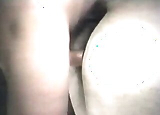 زميل سيء يستمتع بممارسة الجنس مع فتحات الحيوانات والوصول إلى النشوة الجنسية