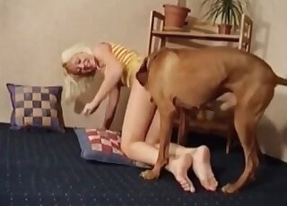 Trained dog fucks a cute MILF hard and fast to make her get orgasm