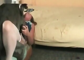 زوجة منحرفة تقدر جهود كلبها لممارسة الجنس معها في وضع تبشيري