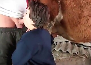 عاهرة تداعب ثديي بقرة بينما يمارس معها الجنس رجلها الوحشي