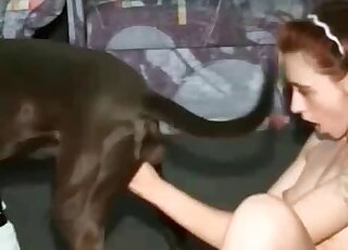 Slender whore gladly starts playing with erected pecker of her doggie
