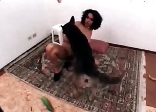 Aroused shepherd dog stuffs its cock inside wet cunt of a curly brunette
