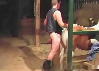 حصان يتحمل قضيبًا سميكًا نابضًا من رجل متوحش