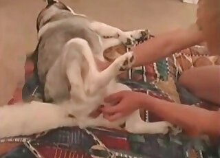 رجل وقح يمارس الجنس مع الحيوانات ويداعب فتحة كلبه ويمارس الجنس معها بقوة