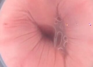 رجل محب للحيوانات يلعب مع كلبه بقضيب اصطناعي ويستمتع بالعملية