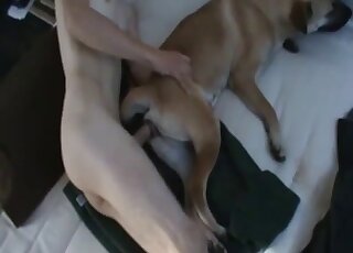 Skinny guy with long legs fucking a horny animal sideways in zoo XXX