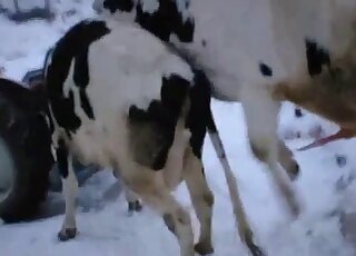 فيلم جنسي في الهواء الطلق مع الكثير من القذف العاطفي