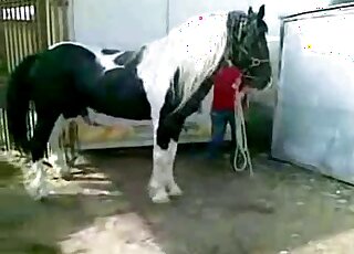 المهر الأبيض يسرق العرض في فيلم إباحي في الهواء الطلق مع الإثارة