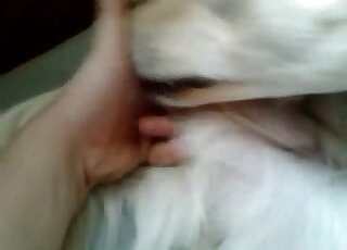 تقبيل ولمس الأصابع في فيلم إباحي عن المداعبة الجنسية