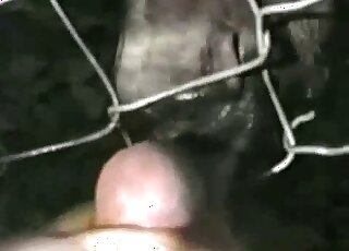 رجل يستمني أمام الوحش ليصل إلى النشوة الحقيقية