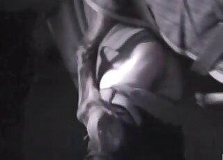 امرأة ذات مؤخرة قوية تتعرض للضرب من قبل حصان في شريط جنسي عن الحيوانات