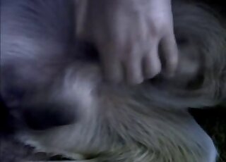 عاشق الحيوانات الساخن يستمتع بأكثر مشاهد الحيوانات إثارة عن قرب