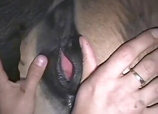 رجل سيء ذو مؤخرة مستديرة يمارس الجنس مع مؤخرة الفرس في مقطع فيديو جنسي للخيول