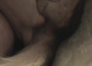 لقطة مقربة لرجل يداعب الكلاب وحيوانه الأليف المثير