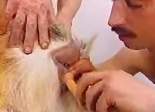 لعق مهبل لا يصدق مع رجل لديه شارب مخيف