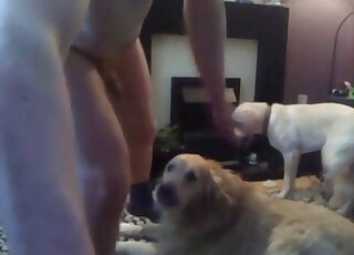 Nice fuck movie showing three sexy dogs licking his cock and balls