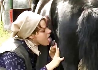 فتاة ريفية ذات شعر أحمر ترتدي زيًا متواضعًا تمتص قضيب الحصان في الهواء الطلق